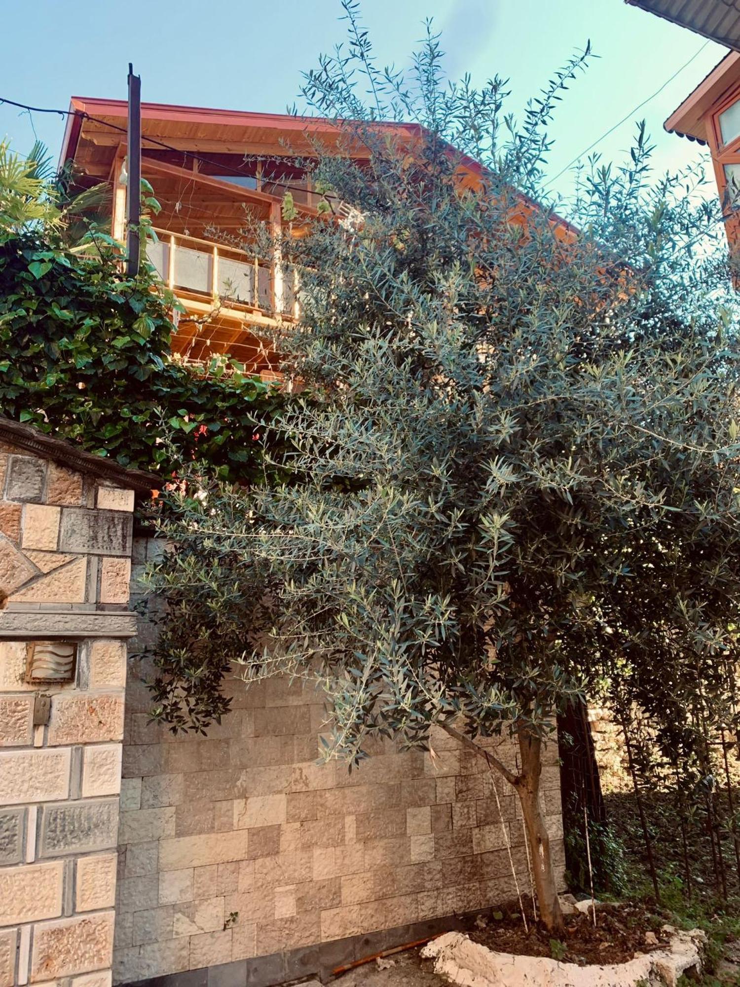 Alimeti Guesthouse Берат Екстер'єр фото