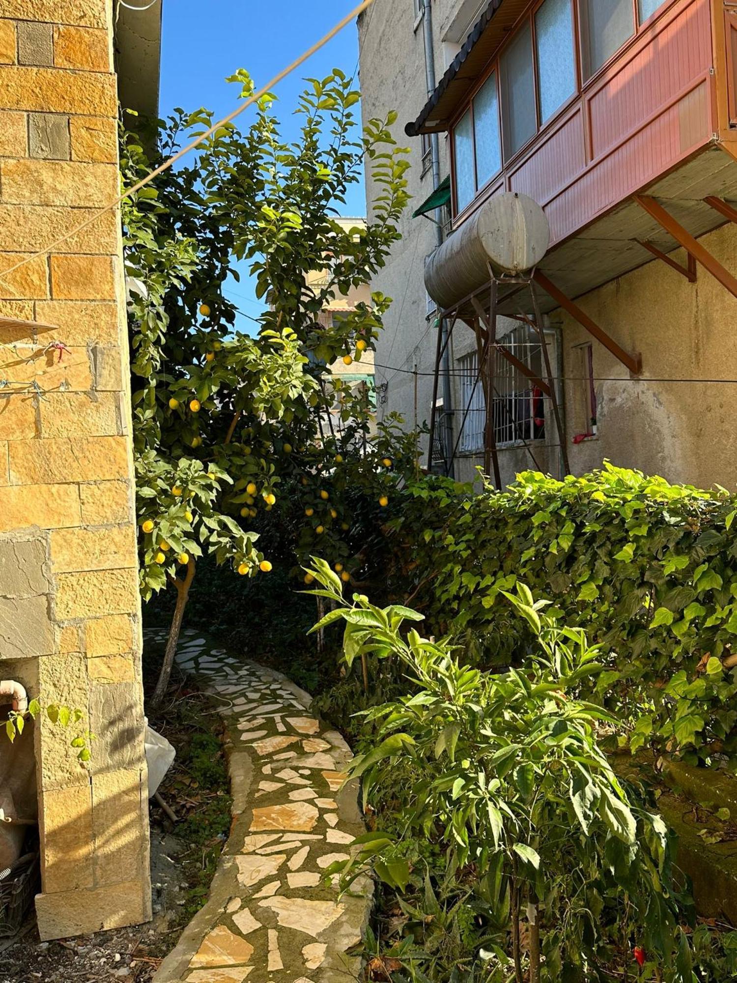 Alimeti Guesthouse Берат Екстер'єр фото